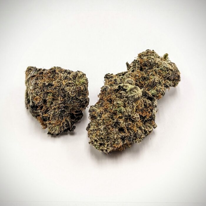 Crescendo (Sativa)